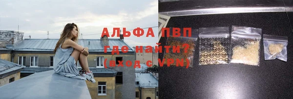 сатива Тобольск