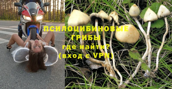 сатива Тобольск