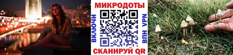 Псилоцибиновые грибы Magic Shrooms  Курильск 
