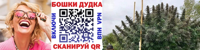 Конопля план Курильск